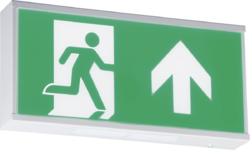 230V IP20 Wall Mounted LED Emergency Exit sign (maintained/non-maintained)