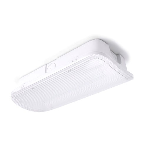 Integral LED Emergency Compact Bulkhead Ip65 1W 150Lm 3Hr Maintained Or Non-Maintained 6000K Including Up Down Left Right Legends Dali Integral Led  - ILEMBH037